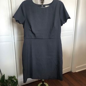 Loft Scalloped Sheath Dress